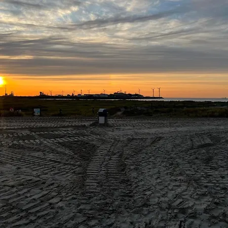 Duinster Heist Beach Knokke-Heist Exterior photo